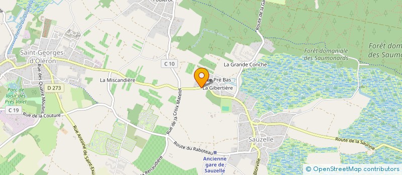 localisation de l'entreprise MONSIEUR JESSY PELLETIER  SAINT-GEORGES-D'OLERON