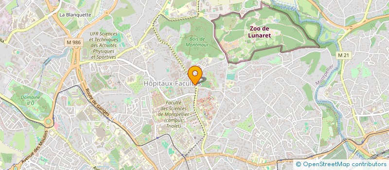localisation de l'entreprise MONSIEUR JESUS CERREDA à MONTPELLIER