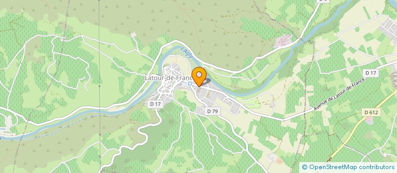 localisation de l'entreprise MONSIEUR JESUS PALACIOS FERNANDEZ  LATOUR-DE-FRANCE