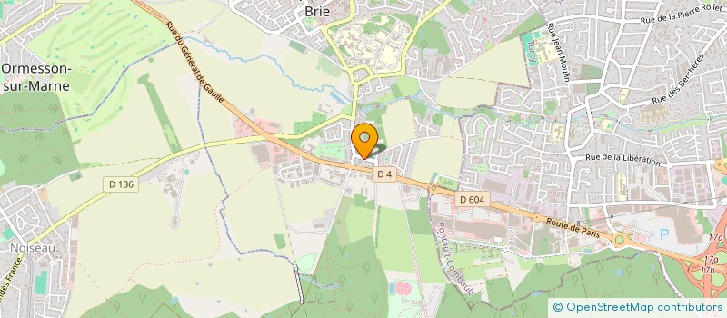 localisation de l'entreprise MONSIEUR JHAILLY RIBESOIS  LA QUEUE-EN-BRIE