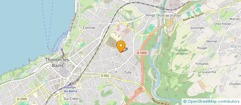 localisation de l'entreprise MONSIEUR JIHED ELMHEDHBI à THONON-LES-BAINS
