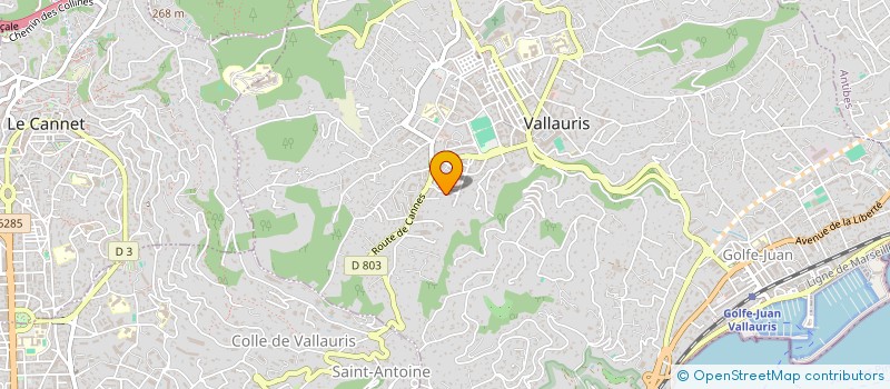 localisation de l'entreprise MONSIEUR JIMMY TEIXEIRA FERNANDES  VALLAURIS