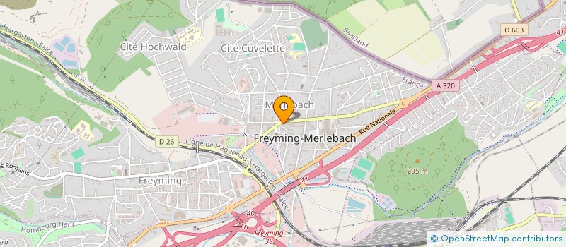 localisation de l'entreprise MONSIEUR JIULIANO RIZZO  FREYMING-MERLEBACH