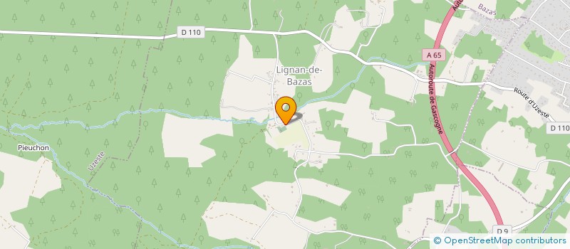 localisation de l'entreprise MONSIEUR JOACHIM BRIANT  LIGNAN-DE-BAZAS