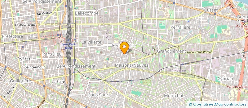 localisation de l'entreprise MONSIEUR JOACHIM LE GO  LYON