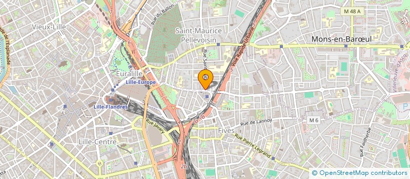 localisation de l'entreprise MONSIEUR JOACHIM LEMAIRE à LILLE