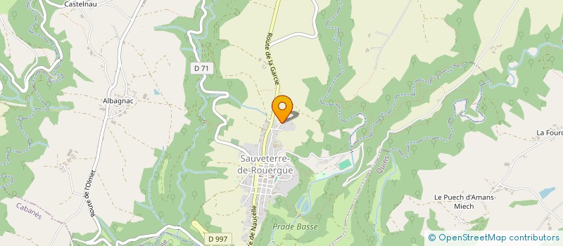 localisation de l'entreprise MONSIEUR JOACHIM LOPES PEREIRA  SAUVETERRE-DE-ROUERGUE
