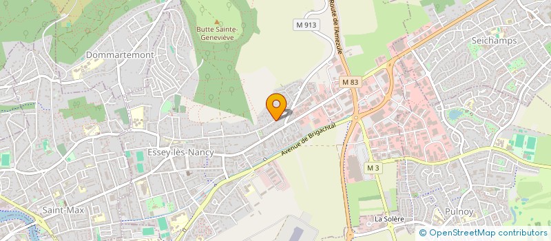 localisation de l'entreprise MONSIEUR JOAKIM PALIX  ESSEY-LES-NANCY