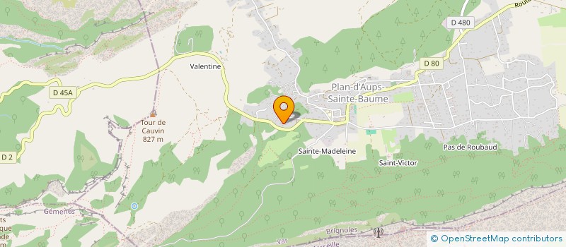 localisation de l'entreprise MONSIEUR JOAN RUIZ  PLAN-D'AUPS-SAINTE-BAUME