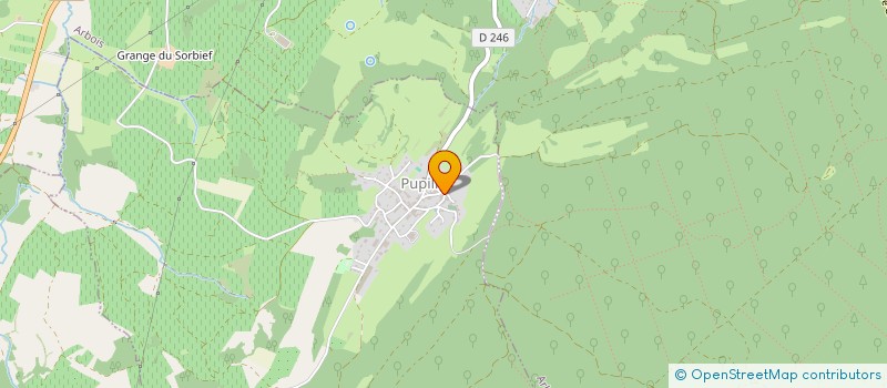 localisation de l'entreprise MONSIEUR JOAO DA SILVA FIGUEIREDO  PUPILLIN