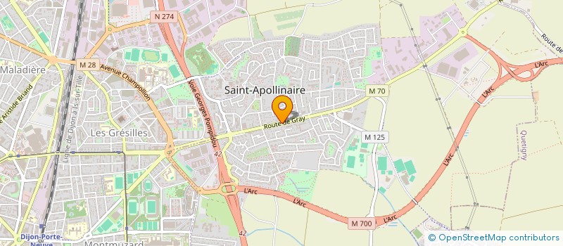 localisation de l'entreprise MONSIEUR JOAO DE FREITAS  SAINT-APOLLINAIRE