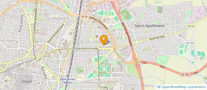 localisation de l'entreprise MONSIEUR JOAO DIAS à DIJON