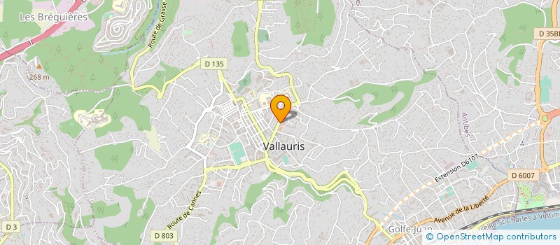 localisation de l'entreprise MONSIEUR JOAO DOS SANTOS à VALLAURIS