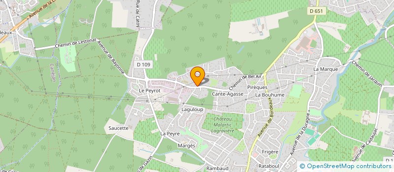 localisation de l'entreprise MONSIEUR JOAO FAUSTINO DA ROCHA  LEOGNAN