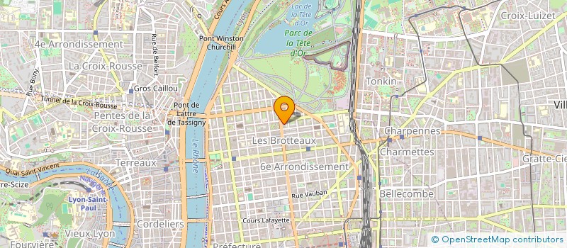 localisation de l'entreprise MONSIEUR JOAO FERNANDES  LYON