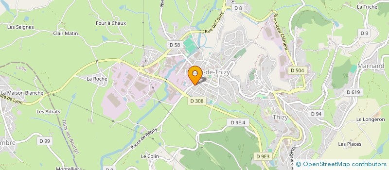 localisation de l'entreprise MONSIEUR JOAO HENRIQUE GONCALVES LEITE  THIZY-LES-BOURGS