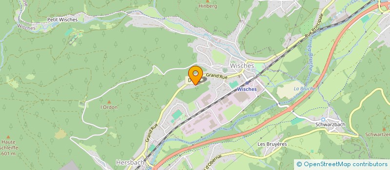 localisation de l'entreprise MONSIEUR JOAO MANUEL PEREIRA DA SILVA  WISCHES