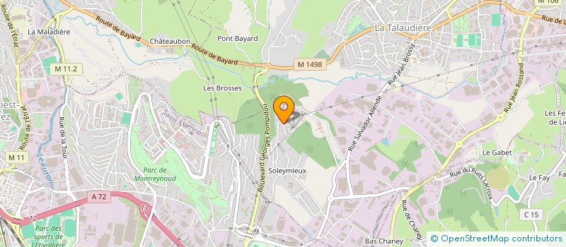 localisation de l'entreprise MONSIEUR JOAO MEIRELES MARQUES  LA TALAUDIERE