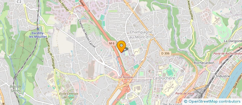 localisation de l'entreprise MONSIEUR JOAO MENAU  ECULLY