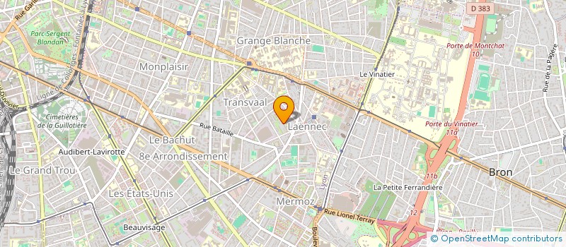 localisation de l'entreprise MONSIEUR JOAO OLIVEIRA ALVES  LYON