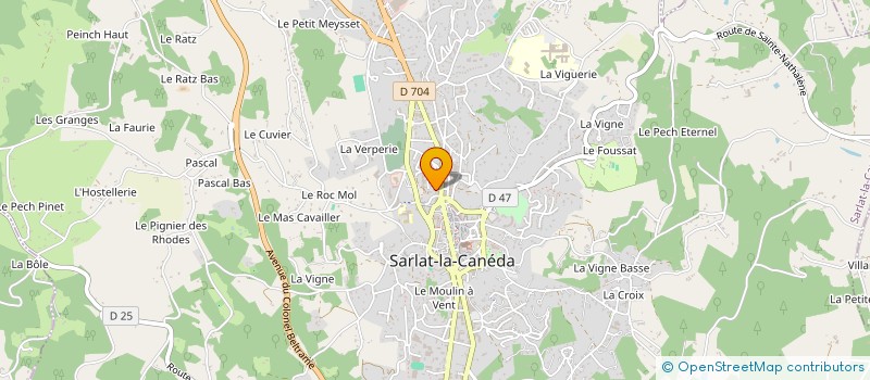 localisation de l'entreprise MONSIEUR JOAO PEDRO ALVES BRAGA à SARLAT-LA-CANEDA