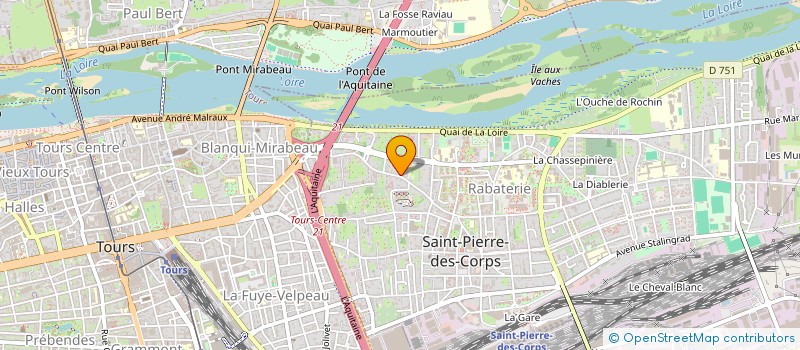 localisation de l'entreprise MONSIEUR JOAO PINTO-RODRIGUES  SAINT-PIERRE-DES-CORPS