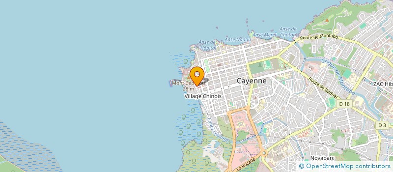 localisation de l'entreprise MONSIEUR JOAO SA  CAYENNE