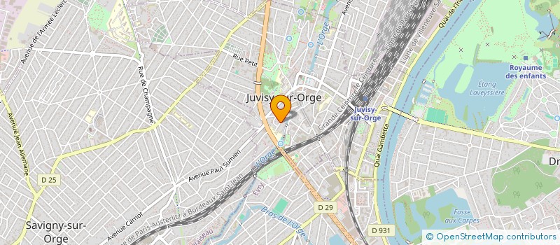 localisation de l'entreprise MONSIEUR JOAO VIANA DE OLIVEIRA ALVES à JUVISY-SUR-ORGE