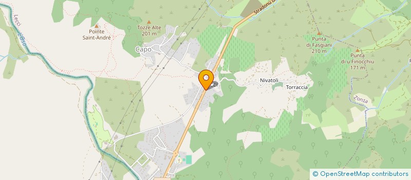 localisation de l'entreprise MONSIEUR JOAQUIM CAETANO NEVES  LECCI