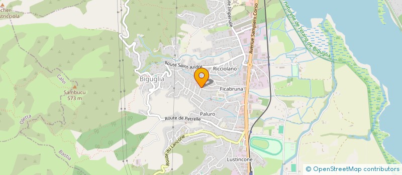 localisation de l'entreprise MONSIEUR JOAQUIM MENDES DE FREITAS à BIGUGLIA