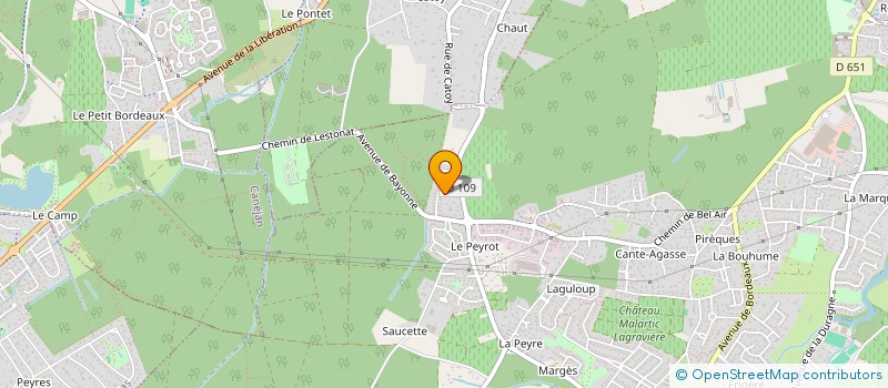 localisation de l'entreprise MONSIEUR JOAQUIM PIMENTA  LEOGNAN