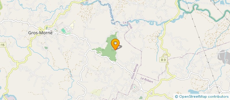 localisation de l'entreprise MONSIEUR JOCELYN BERGOZ  GROS-MORNE