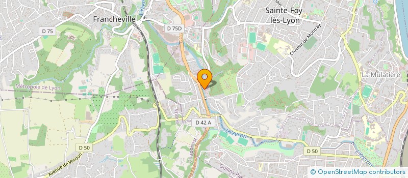 localisation de l'entreprise MONSIEUR JOCELYN RINKER à SAINTE-FOY-LES-LYON