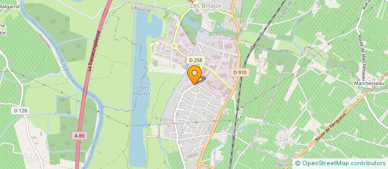 localisation de l'entreprise MONSIEUR JOE MATHIAS SOULIGNAC à LIBOURNE