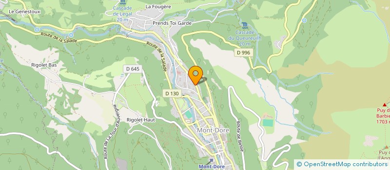 localisation de l'entreprise MONSIEUR JOEL BAJARD  MONT-DORE