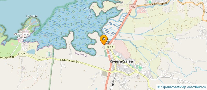 localisation de l'entreprise MONSIEUR JOEL BALTHAZAR à RIVIERE-SALEE