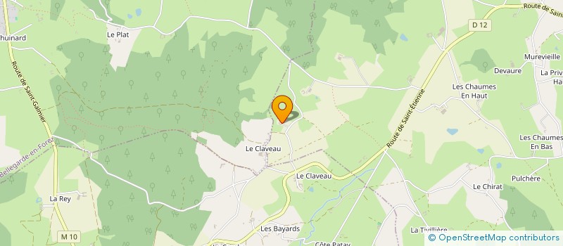 localisation de l'entreprise MONSIEUR JOEL BATON à CHAZELLES SUR LYON