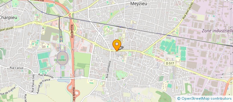 localisation de l'entreprise MONSIEUR JOEL BAUDY à MEYZIEU