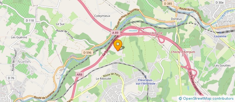 localisation de l'entreprise MONSIEUR JOEL BILLIOUD  FLEURIEUX SUR L'ARBRESLE