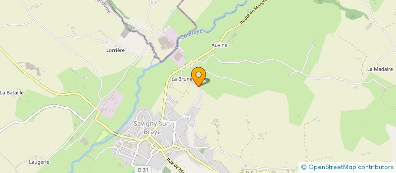 localisation de l'entreprise MONSIEUR JOEL BLATEAU  SAVIGNY-SUR-BRAYE