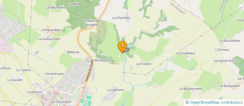 localisation de l'entreprise MONSIEUR JOEL BONNIN à LES HERBIERS