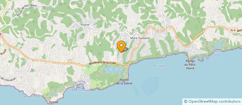 localisation de l'entreprise MONSIEUR JOEL BRINGS  SAINT-PIERRE