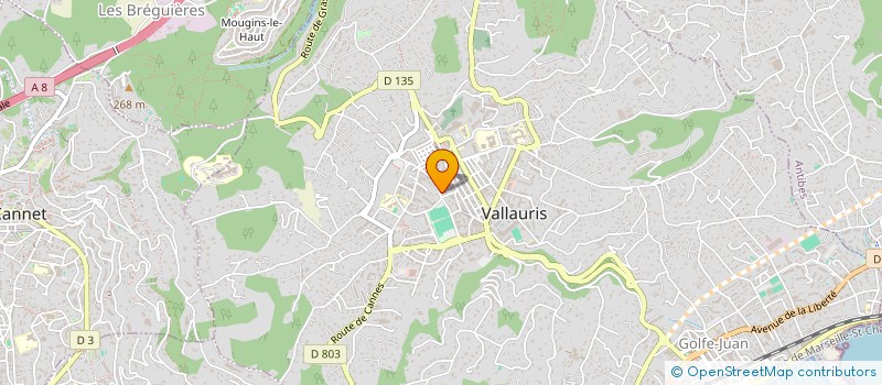 localisation de l'entreprise MONSIEUR JOEL CLEMENT  VALLAURIS