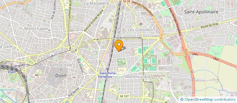 localisation de l'entreprise MONSIEUR JOEL COUSIN à DIJON