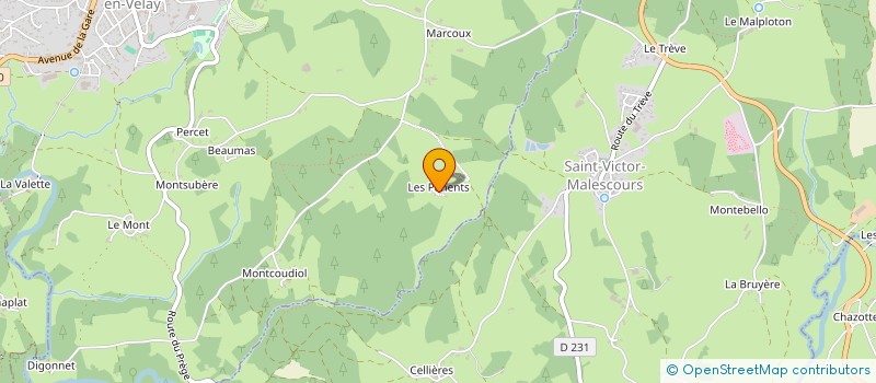 localisation de l'entreprise MONSIEUR JOEL CUISSON  SAINT-DIDIER-EN-VELAY