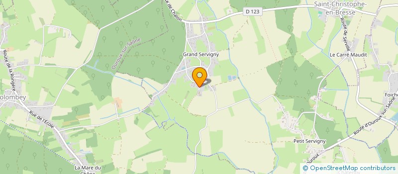 localisation de l'entreprise MONSIEUR JOEL DALLEREY  SAINT-CHRISTOPHE-EN-BRESSE