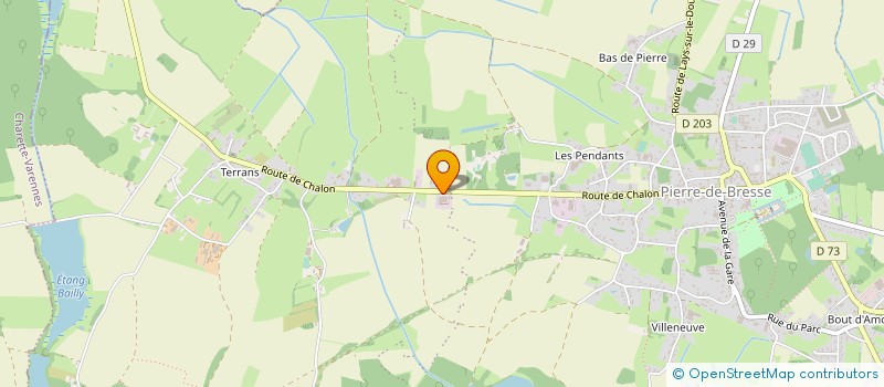 localisation de l'entreprise MONSIEUR JOEL DANDELOT  PIERRE-DE-BRESSE