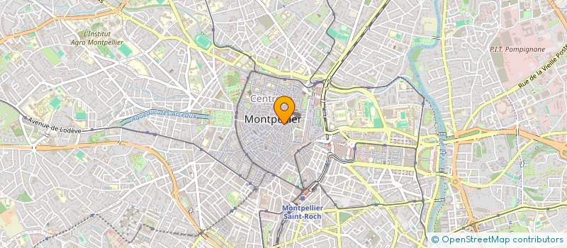 localisation de l'entreprise MONSIEUR JOEL DEFENDINI à MONTPELLIER