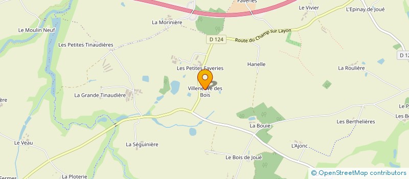 localisation de l'entreprise MONSIEUR JOEL DEFOIS  CHEMILLE-EN-ANJOU