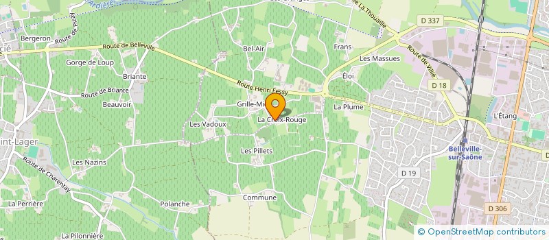 localisation de l'entreprise MONSIEUR JOEL DESRAYAUD à BELLEVILLE-EN-BEAUJOLAIS